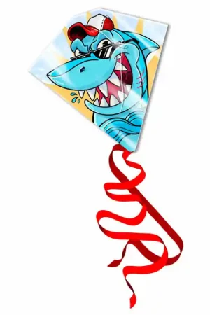 Kites Ready 2 Fly - Vlieger Haai Populair
