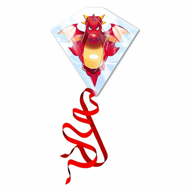 Favoriet Kites Ready 2 Fly - Vlieger Draak