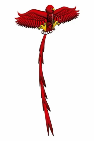 Gratis Retour Kites Ready 2 Fly - Pop-up 3D Vlieger Adelaar
