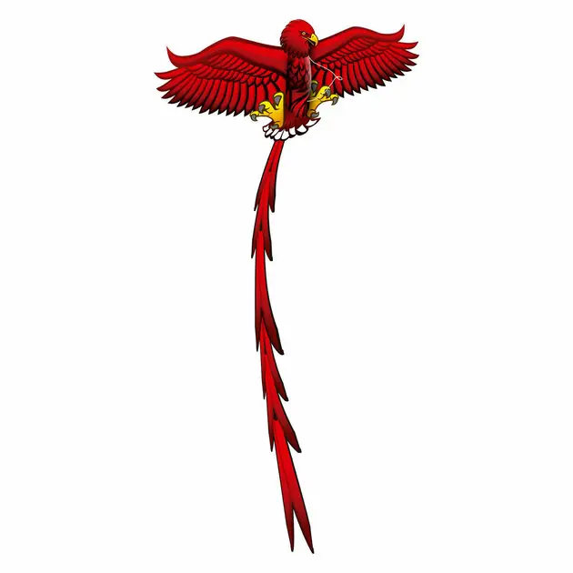 Gratis Retour Kites Ready 2 Fly - Pop-up 3D Vlieger Adelaar