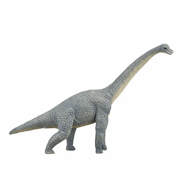 Mojo Prehistorie Brachiosaurus - 387044 Bestel Nu