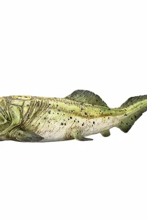 Nu Kopen Mojo Prehistorie Dunkleosteus - 387374