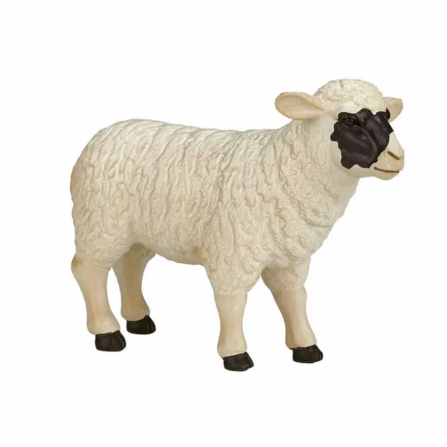 Mojo Farmland Zwartkopschaap Ooi - 387058 Koopje