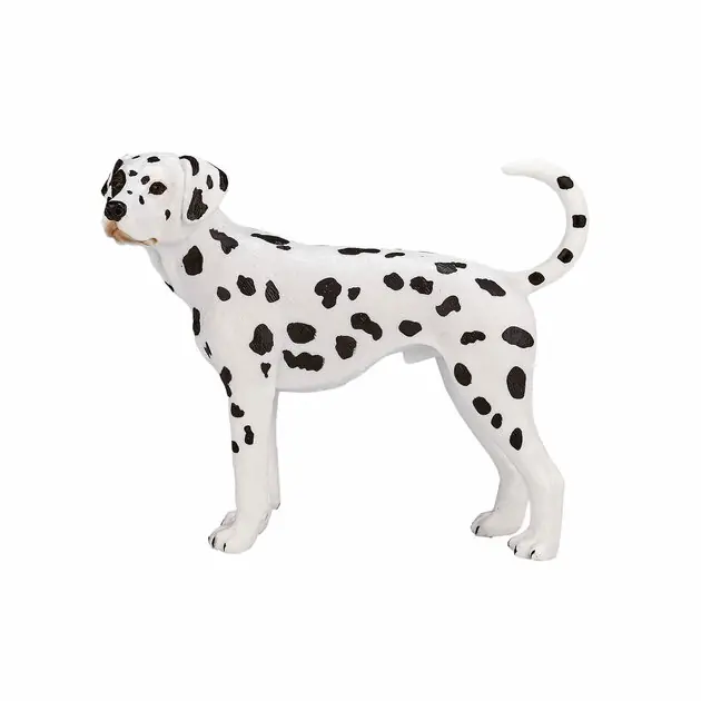 Mojo Farmland Dalmatiër - 387248 Exclusieve Aanbieding
