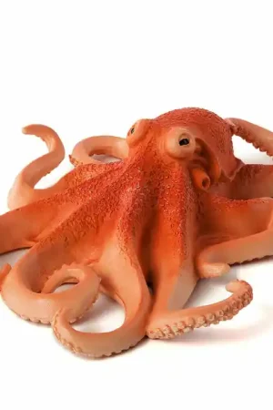 Veilige Betaling Mojo Sealife Octopus 387275