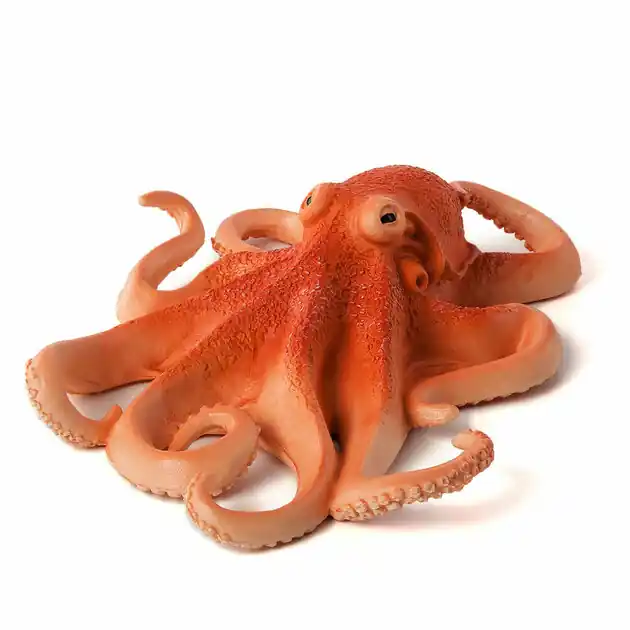 Veilige Betaling Mojo Sealife Octopus 387275