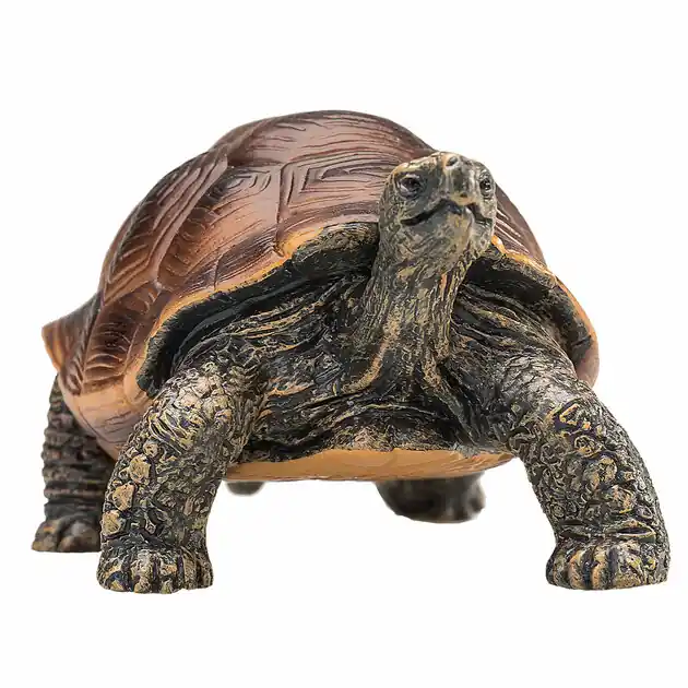 Tijdelijk Beschikbaar Mojo Wildlife Reuzenschildpad - 387259