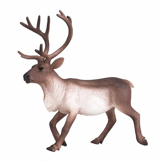 Mojo Wildlife Rendier - 387186 Gecertificeerd