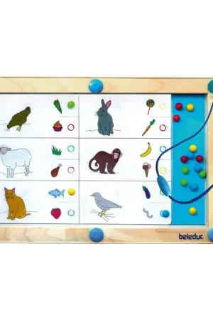 Beleduc LogiPlay Houten Magneetspel Premium