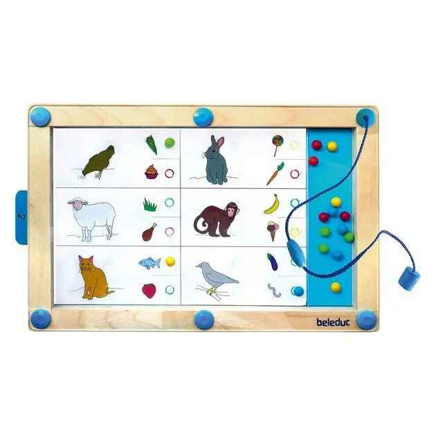 Beleduc LogiPlay Houten Magneetspel Premium