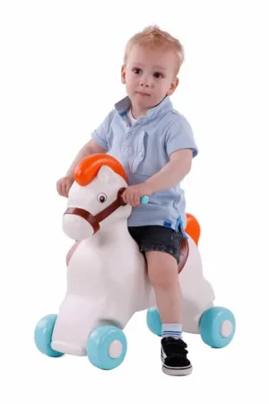 Veilige Betaling Cavallino Safari Paard Loopfiets