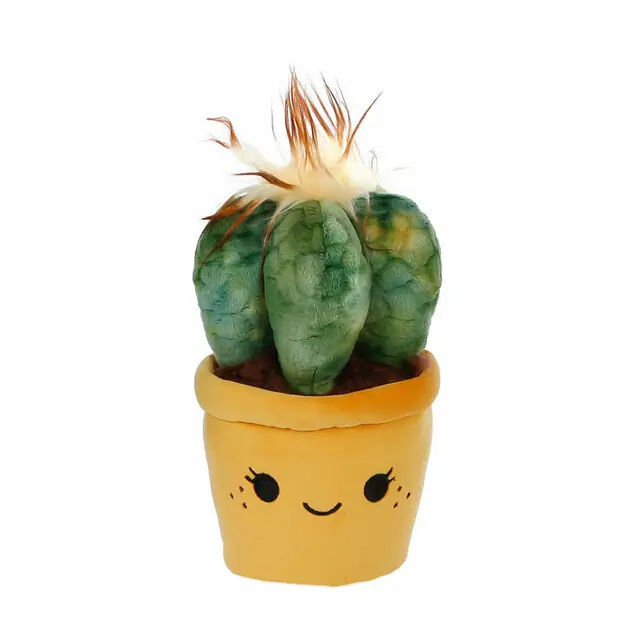 Take Me Home Knuffel Plant Pluche - Cactus Hete Deal