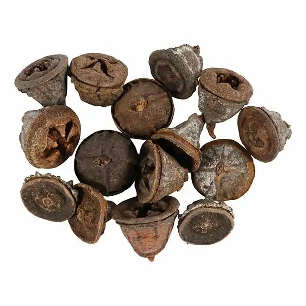 Larikskegels, 25 gram Direct Beschikbaar