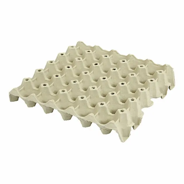 Koop Online Ei Dienblad Karton 29x29cm, 20st.