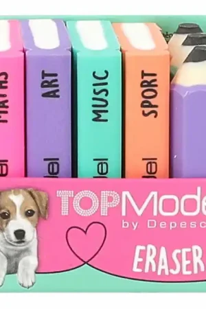 Alleen Vandaag TOPModel Gumset - Mini Schoolboeken en Potloden