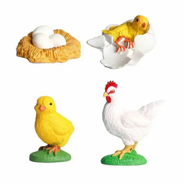 Direct Beschikbaar Levenscyclus Haan Speelfiguren Set