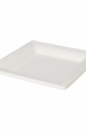 Wegwerpbordjes Vierkant 16cm, 8st. Beperkt Aanbod