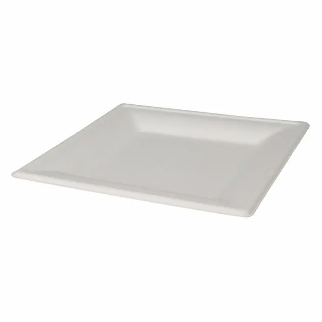 Wegwerpbordjes Vierkant 20cm, 8st. Rechtstreeks Van De Fabrikant