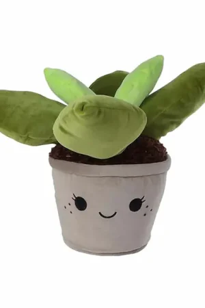 Finale Uitverkoop Take Me Home Knuffel Pluche - Vetplant, 45cm