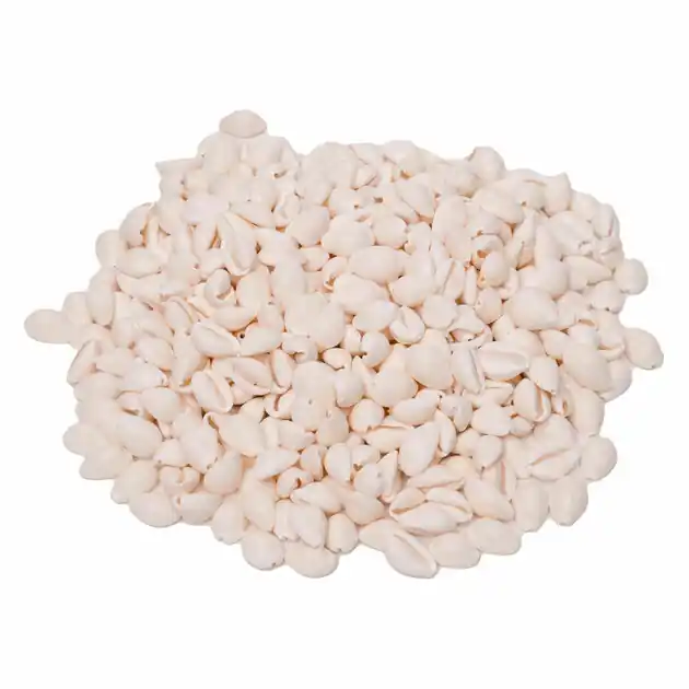 Colorations - Zeeschelpen Kauri, 300g Favoriet