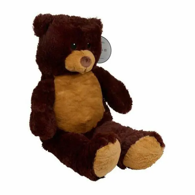 Bruine Knuffelbeer Pluche, 90cm Direct Beschikbaar