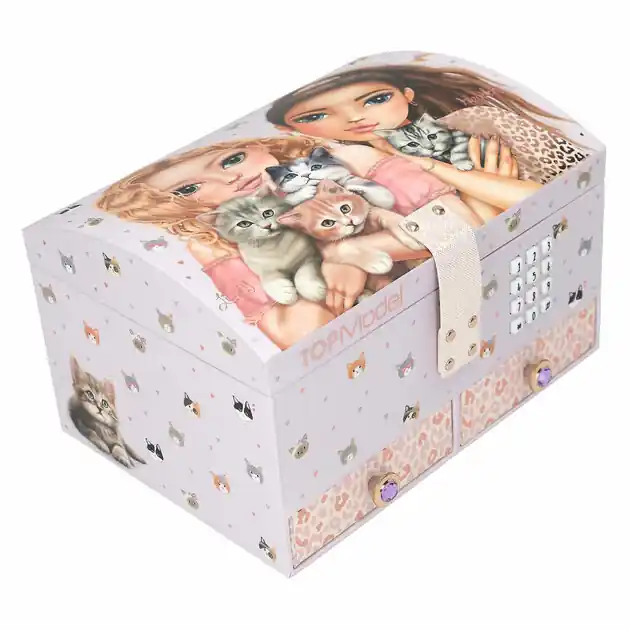 Populair TOPModel Grote Sieradendoos met Code en Geluid Cat Love
