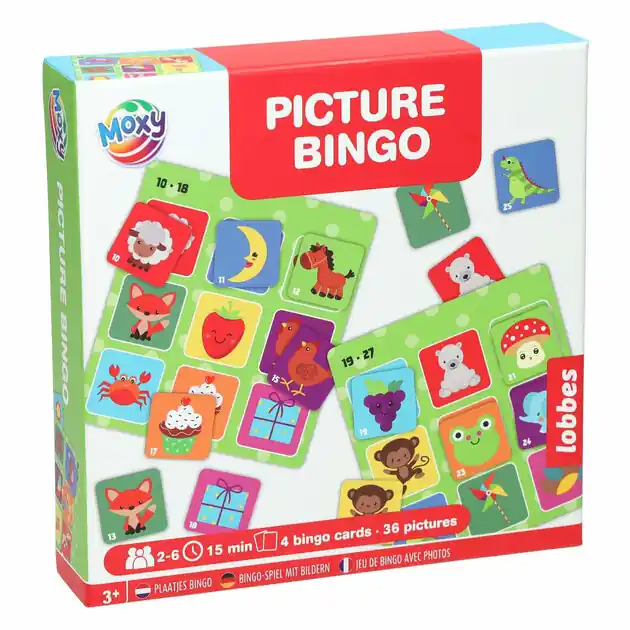 Alleen Vandaag Lobbes Plaatjes Bingo