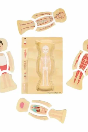 Bigjigs Houten Anatomiepuzzel - Jongen, 26st. Bestel Nu