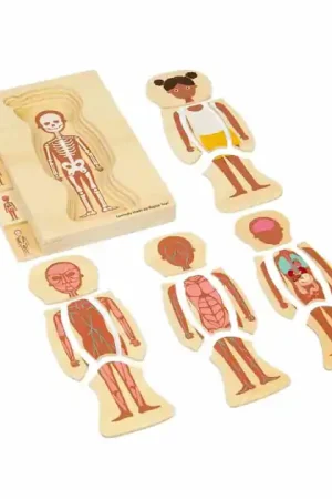 Premium Bigjigs Houten Anatomiepuzzel - Meisje, 26st.