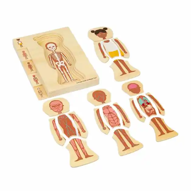Premium Bigjigs Houten Anatomiepuzzel - Meisje, 26st.