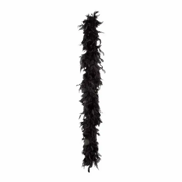 Betaalbaar Boa Zwart 180cm