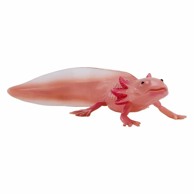 Mojo Wildlife Axolotl 381108 Populair