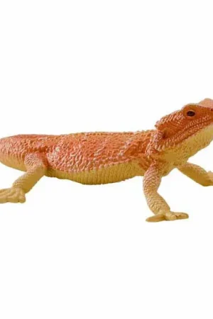 Betrouwbaar Mojo Wildlife Baardagaam - 381096