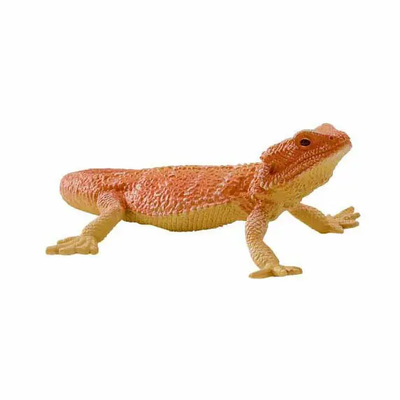 Betrouwbaar Mojo Wildlife Baardagaam - 381096