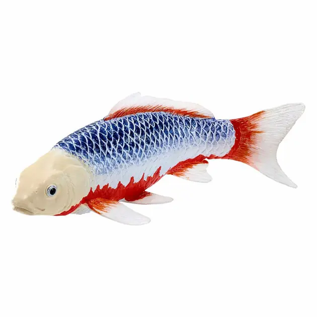 Koop Vandaag Mojo Sealife Koi Karper - Asagi Koi - 381100