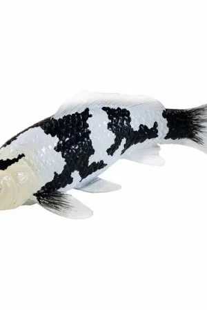 Beperkte Voorraad Mojo Sealife Koi Karper - Shiro Utsuri Koi - 381102