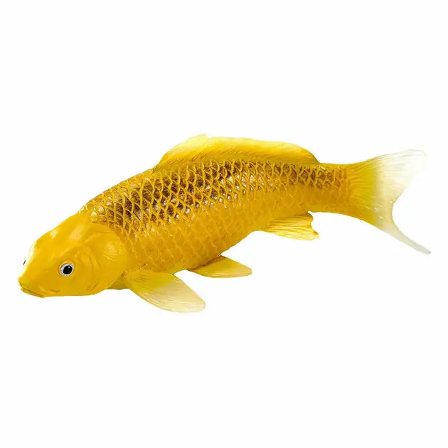 Mojo Sealife Koi Karper - Kin Matsuba Koi - 381105 Express Levering
