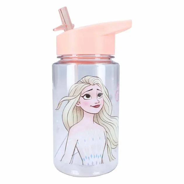Koop Vandaag Frozen Drinkfles Let's Eat!, 450ml