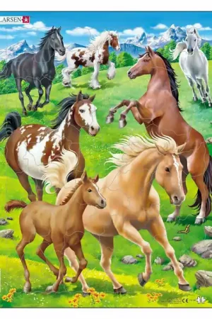 Alleen Vandaag Larsen Legpuzzel Dieren - Paarden, 65st.