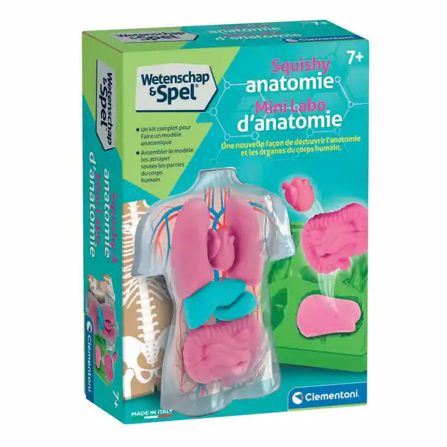 Clementoni Wetenschap & Spel - Squishy Anatomie Veilige Betaling