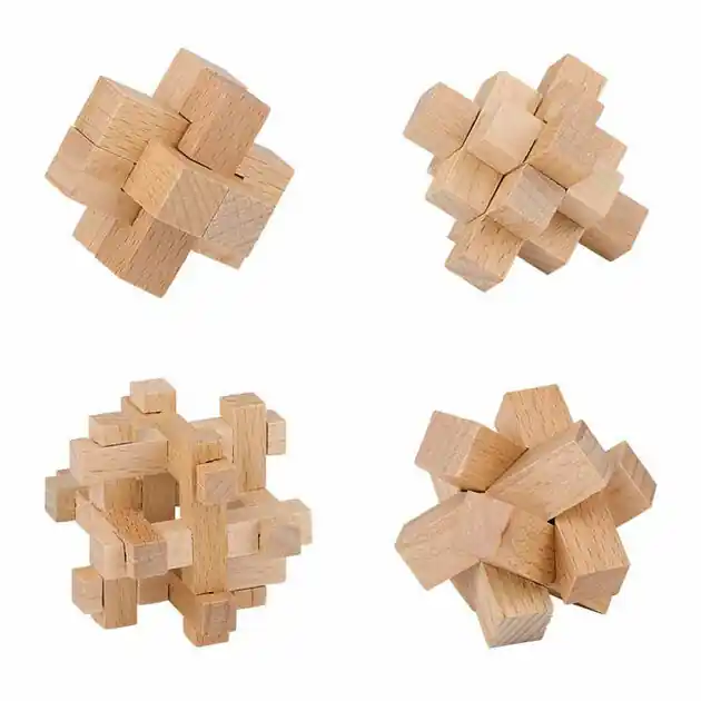 Houten Breinpuzzel Direct Verzonden