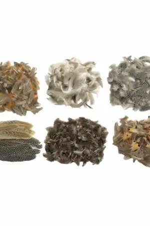 Aanbieding Colorations - Natuurlijke Veren