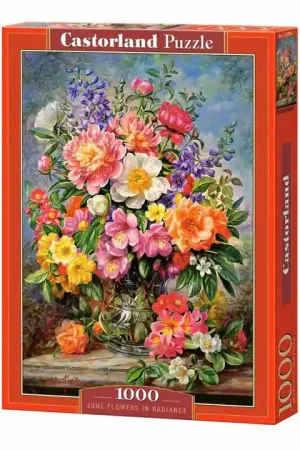 Castorland Legpuzzel June Flowers in Radiance, 1000st. Voordeelprijs