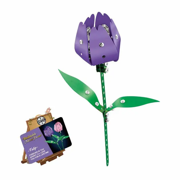 Metalen Bouwset Tulp Lage Kosten