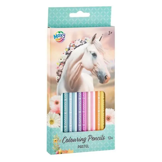 Kleurpotloden Pastel - 12st. Alleen Vandaag