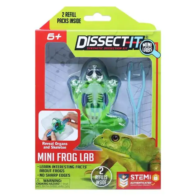 Seizoensaanbieding DISSECT-IT Ontleed een Kikker met Vergrootglas