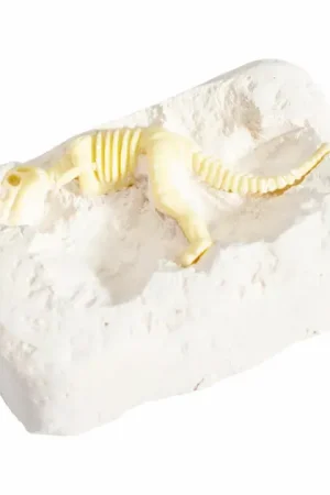 Uitgraafset Dinosaurus Gecertificeerd