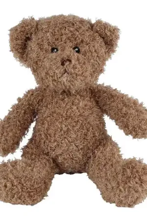 Bestel Nu Take Me Home Knuffelbeer Pluche - 30cm Bruin