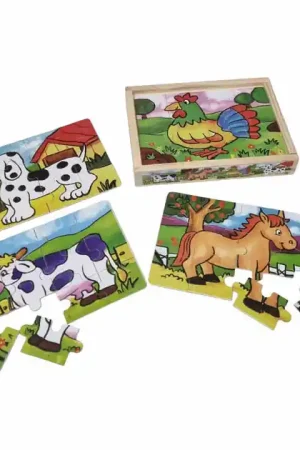 Vier Houten Legpuzzels in Kist - 12 Stukjes Tijdelijk Beschikbaar