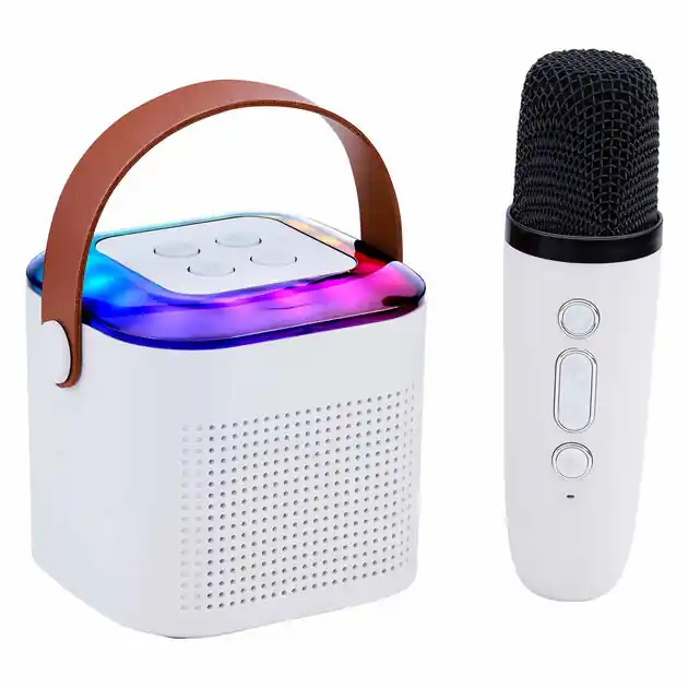 Flitsaanbieding Mini Karaoke Set, 2dlg.
